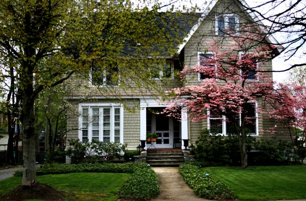 Ornamental Tree Planting in Collierville