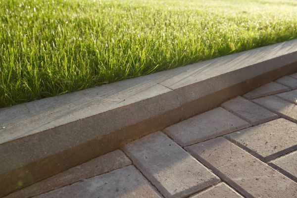 Lawn Edging Replacement in Collierville