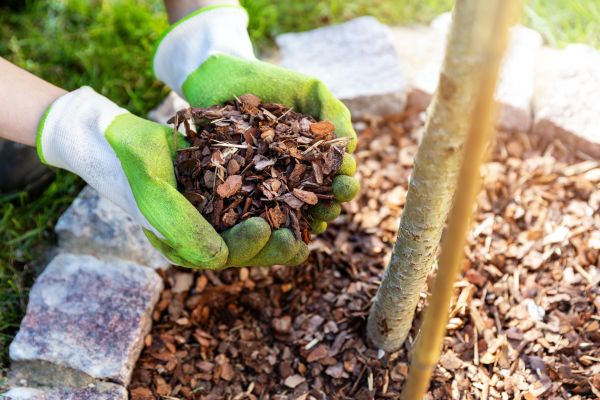 Tree Bark Delivery in Collierville