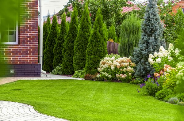 Spring Landscaping in Collierville