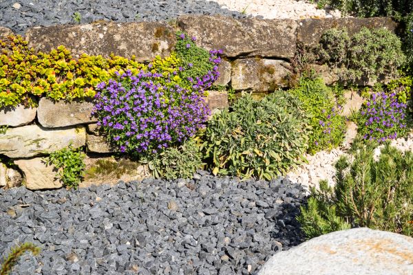 Landscaping Rocks Installation in Collierville