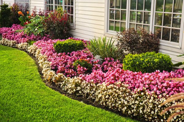 Garden Landscape Design in Collierville