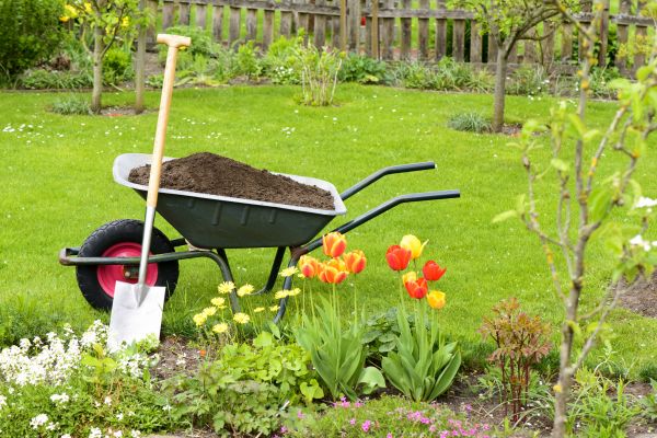 Spring Yard Renovation in Collierville