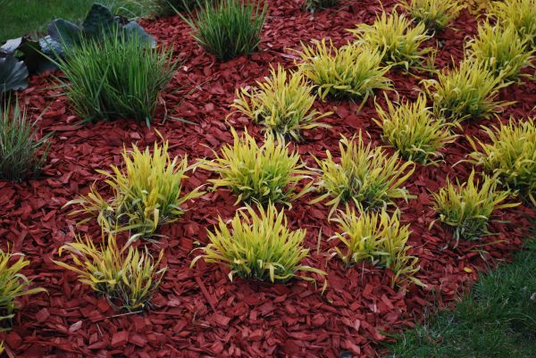 Red Mulch Installation in Collierville