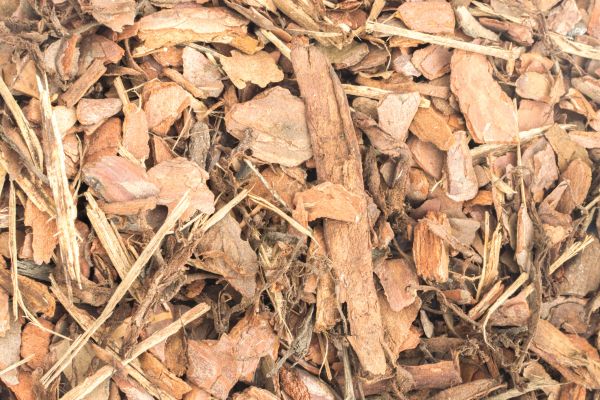 Bark Mulch Installation in Collierville