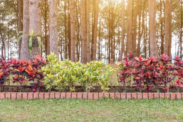 Small Garden Landscaping in Collierville