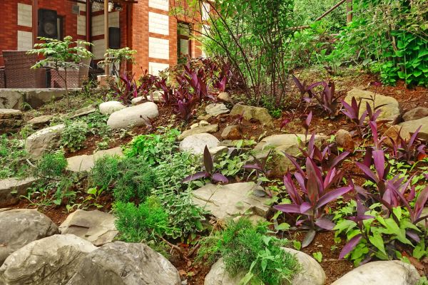 Rock Garden Landscaping in Collierville