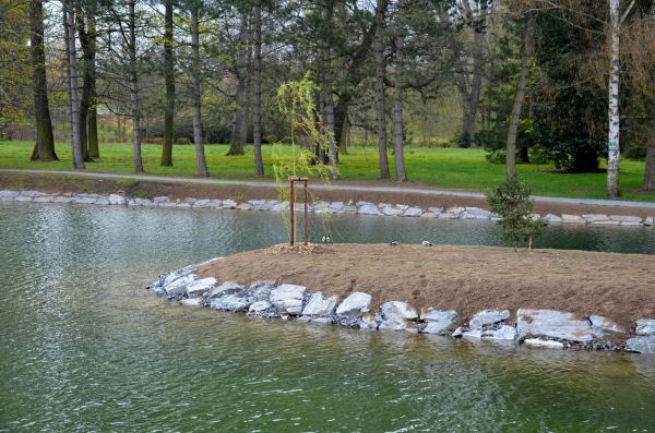 Pond Landscaping Service in Collierville