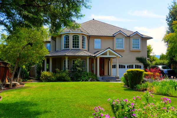 Large Yard Landscaping in Collierville
