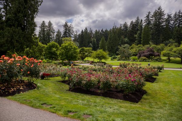 Flower Garden Landscaping in Collierville