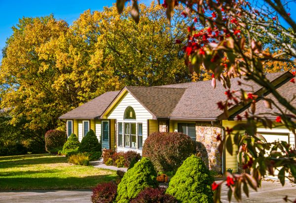 Ranch Landscaping in Collierville