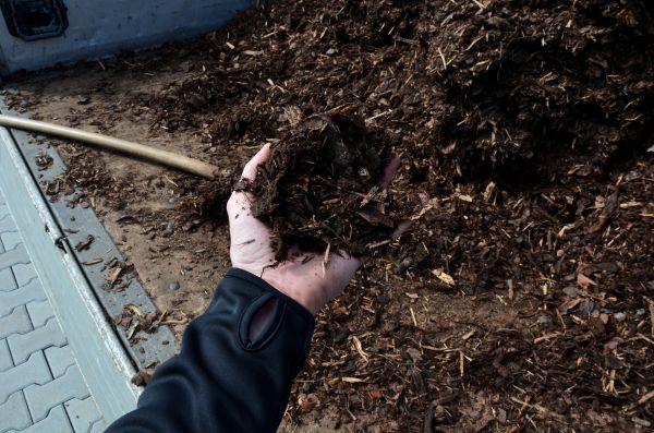 Condo Mulching in Collierville