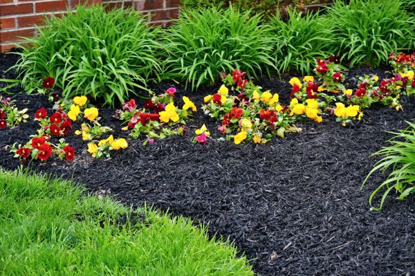 Apartment Mulching in Collierville