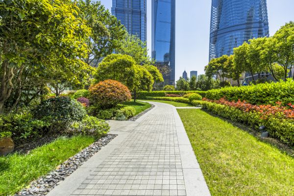 Commercial Landscaping in Collierville